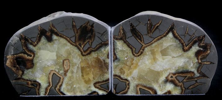 Polished Septarian Bookends #37245